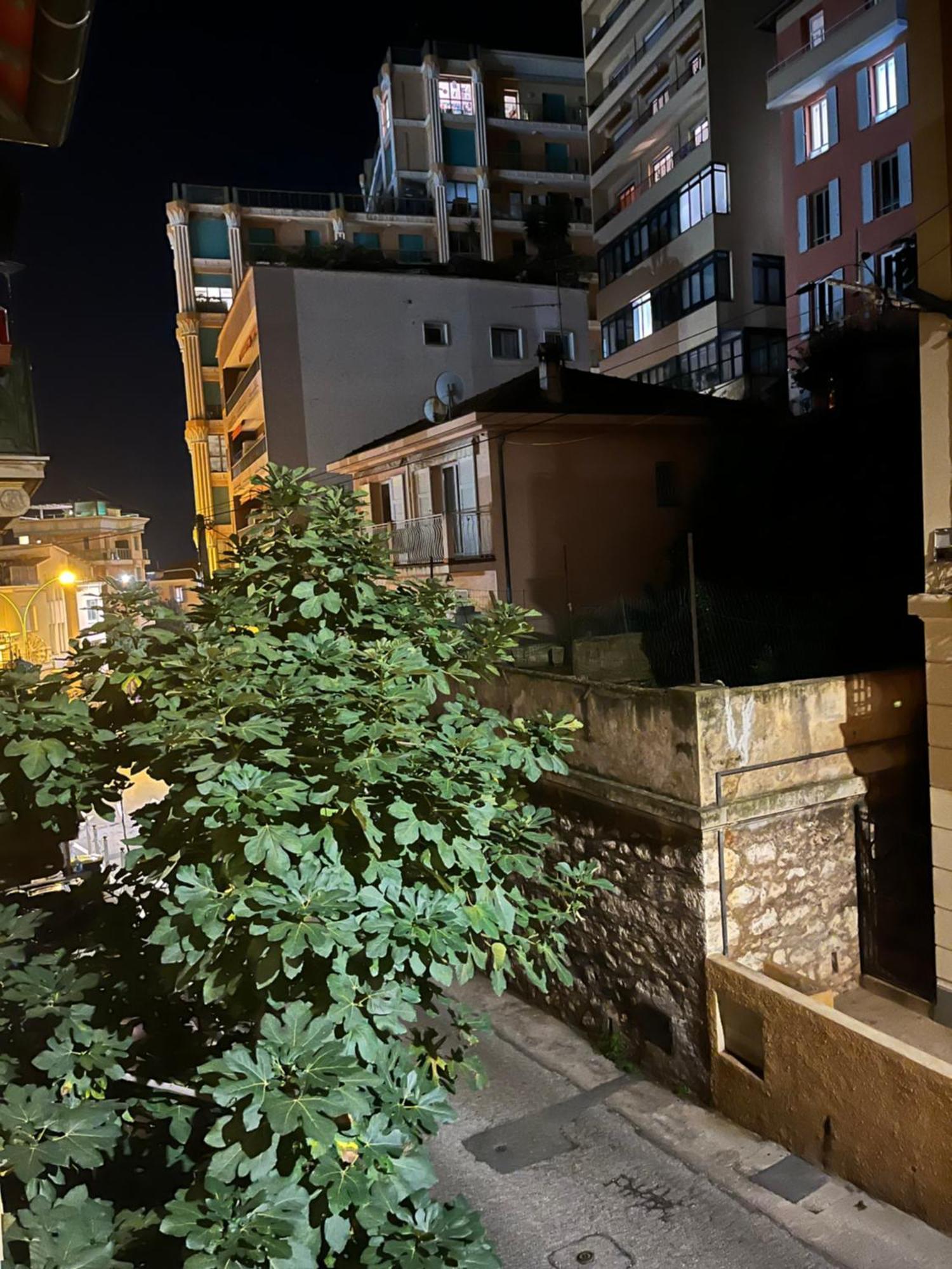 דירות בוסוליי Duplex A La Frontiere De Monaco מראה חיצוני תמונה